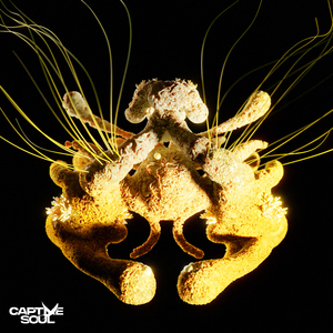 WWW男女射精（霸道总裁）
